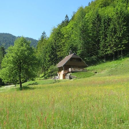 Apartmaji Brloznica Pod Veliko Planino Luce Ruang foto