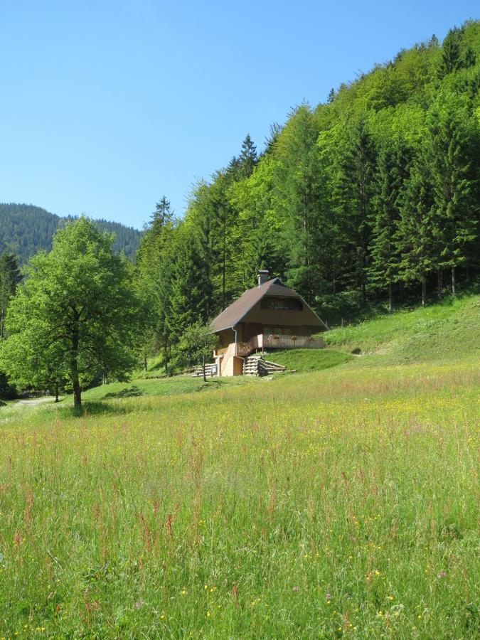 Apartmaji Brloznica Pod Veliko Planino Luce Ruang foto